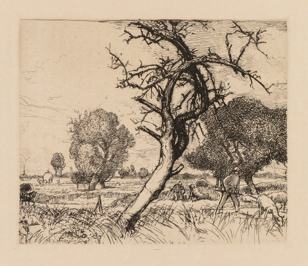 Auguste Lepère: Az elhalt almafa, Pikárdia, 1913. alkotó: Auguste Louis Lepère