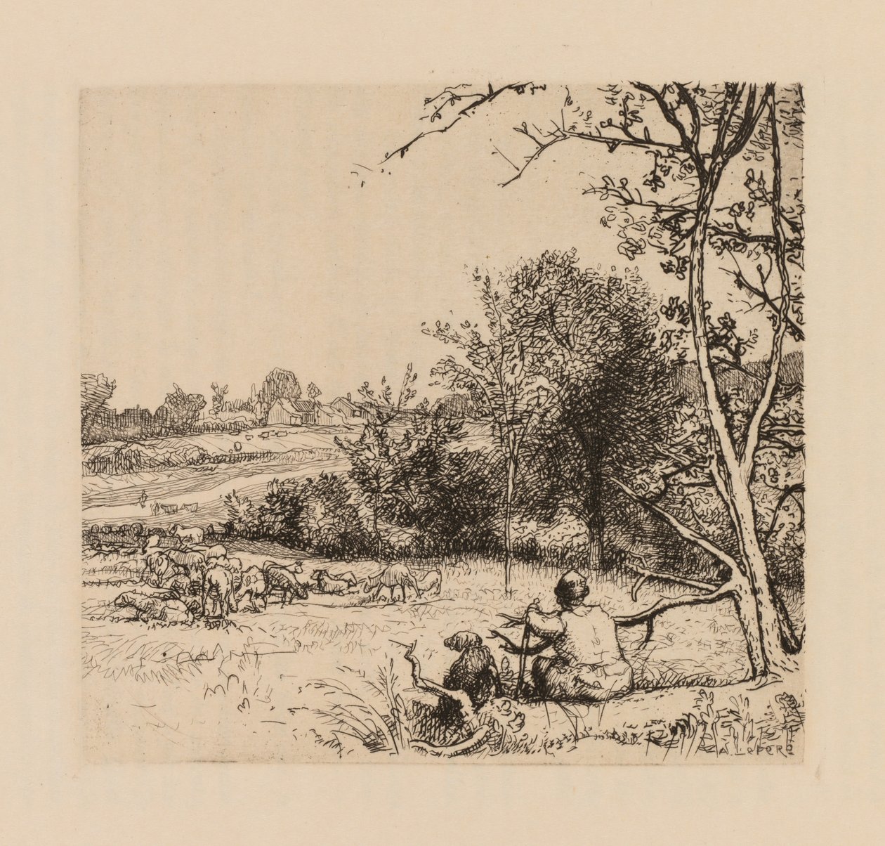 Auguste Lepère: A kidőlt almafa Pikárdia. alkotó: Auguste Louis Lepère