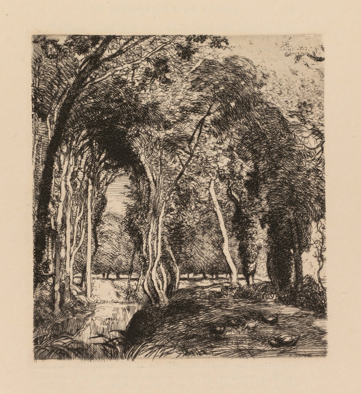 Auguste Lepère: Aljnövényzet, La Rigonette (Vendèe) alkotó: Auguste Louis Lepère