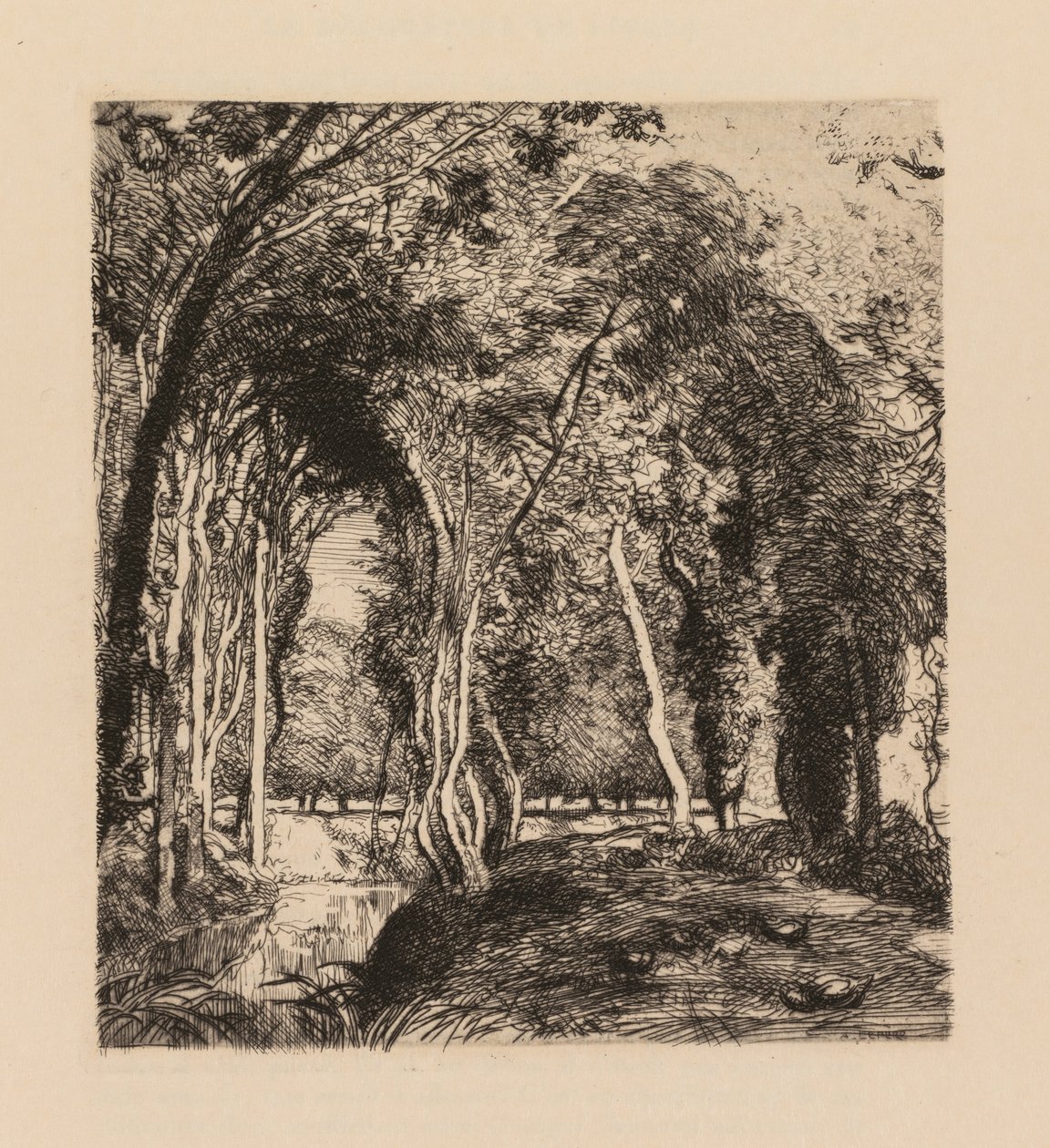 Auguste Lepère: Aljnövényzet, Rigonette Vendèe-nél. alkotó: Auguste Louis Lepère