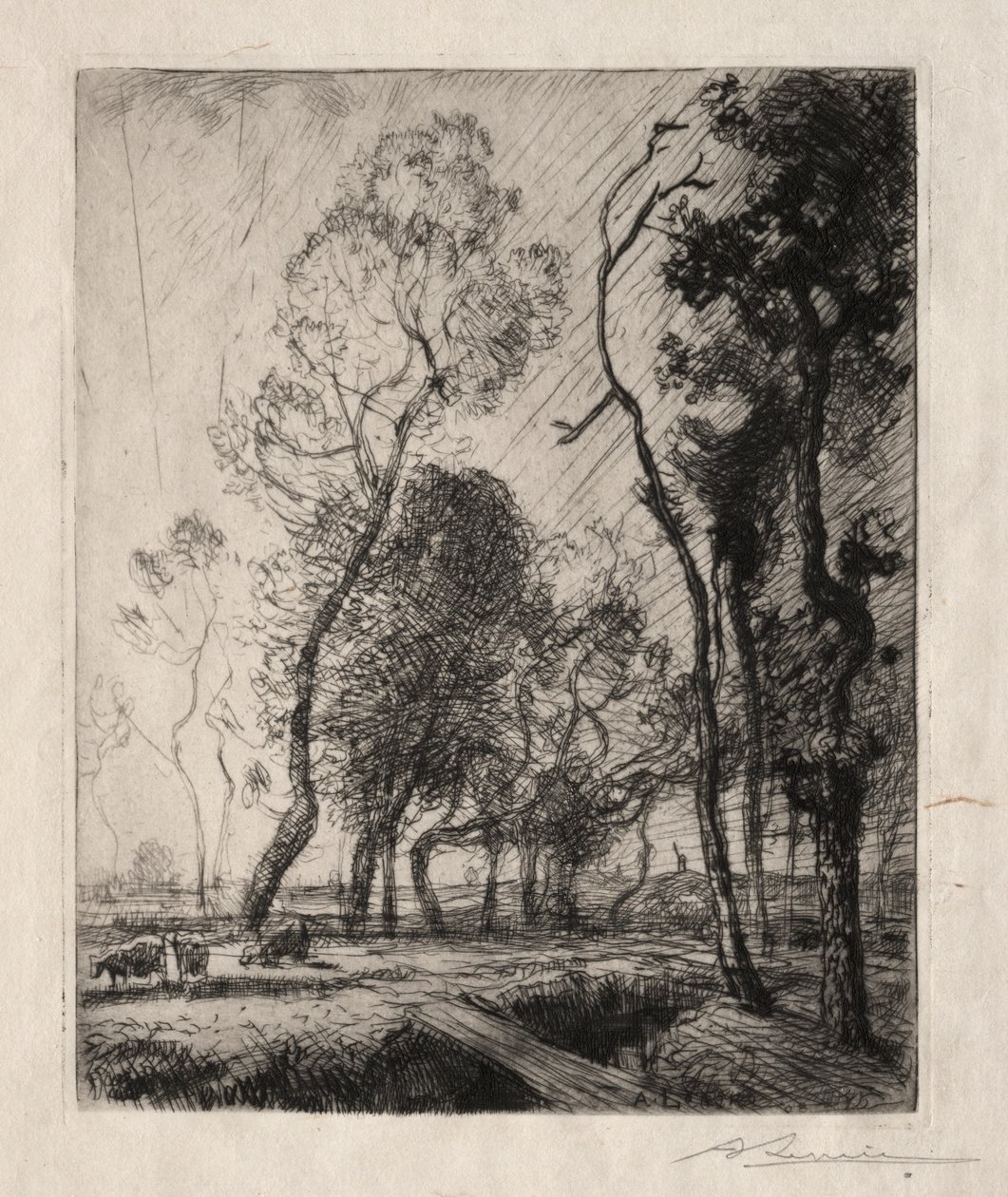 Naplemente a fák mögött, 1909. alkotó: Auguste Louis Lepère