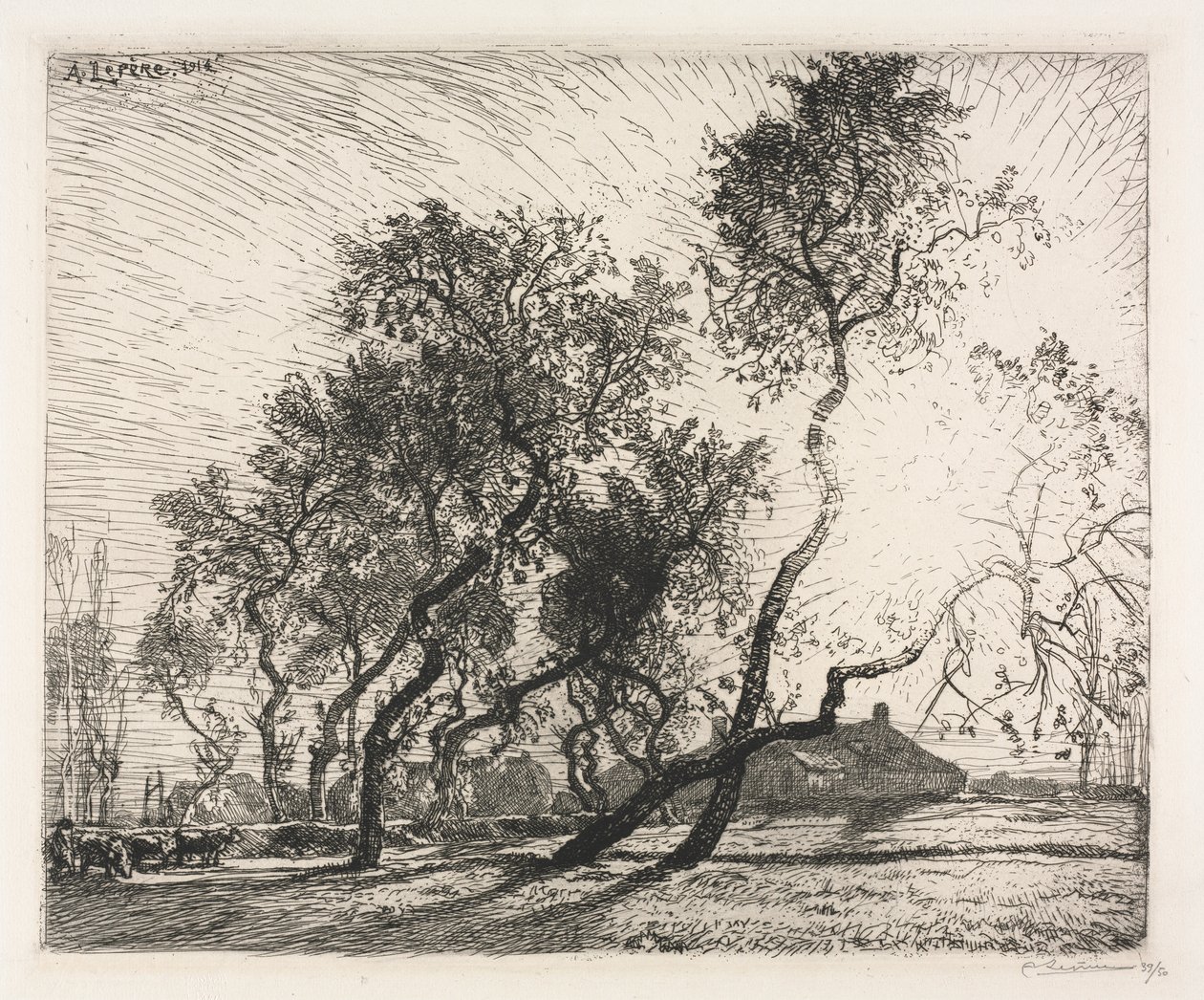 Farm holland nyárfákkal alkotó: Auguste Louis Lepère