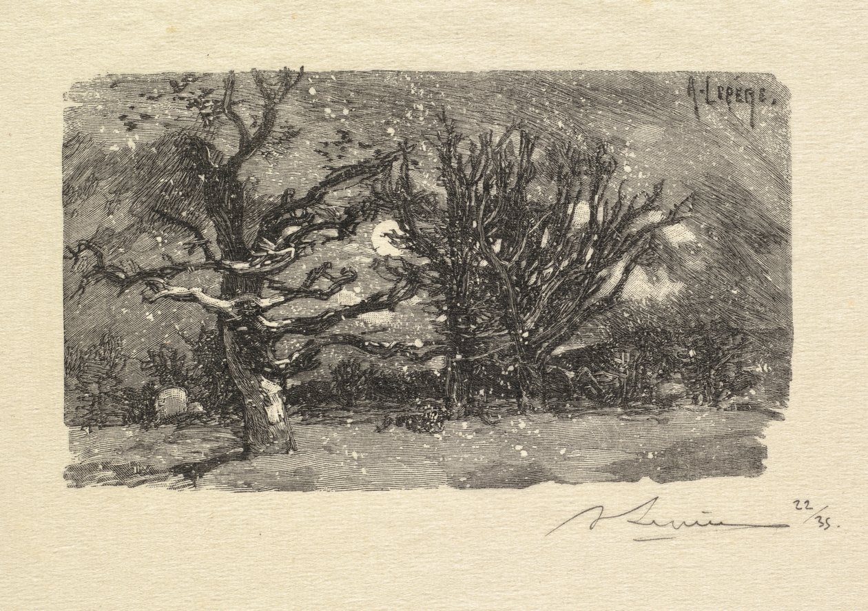 Fontainebleau-erdő: Au dormoir de Lantara (La Forêt de Fontainebleau: Au dormoir de Lantara) alkotó: Auguste Louis Lepère