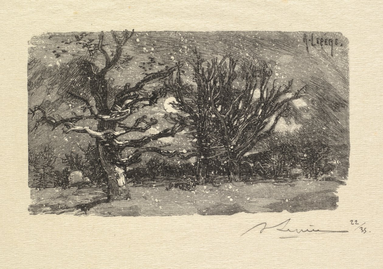 Fontainebleau-erdő: Lantara hálótermében La Forêt de Fontainebleau: Lantara kollégiumában, 1890 alkotó: Auguste Louis Lepère