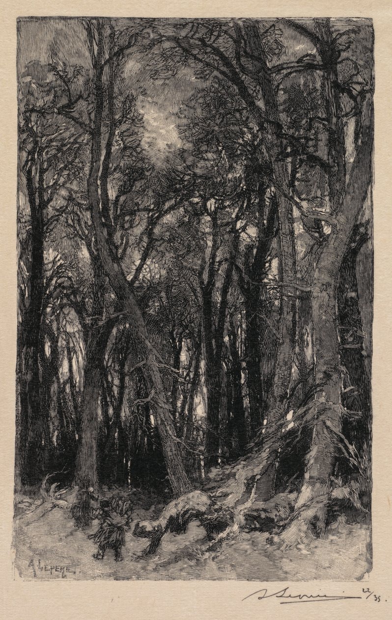 Fontainebleau-i erdő: Bas-Bréau (Fontainebleau-i erdő: Bas-Bréau) alkotó: Auguste Louis Lepère