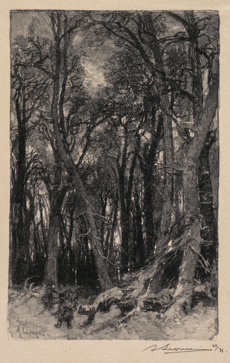 Fontainebleau-i erdő: Bas-Bréau A Fontainebleau-i erdő: Le Bas-Bréau, 1890. alkotó: Auguste Louis Lepère