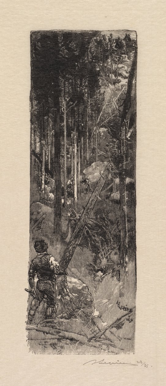 Fontainebleau-i erdő: Fenyők kivágása La Forêt de Fontainebleau: Abattage des pines, 1890. alkotó: Auguste Louis Lepère