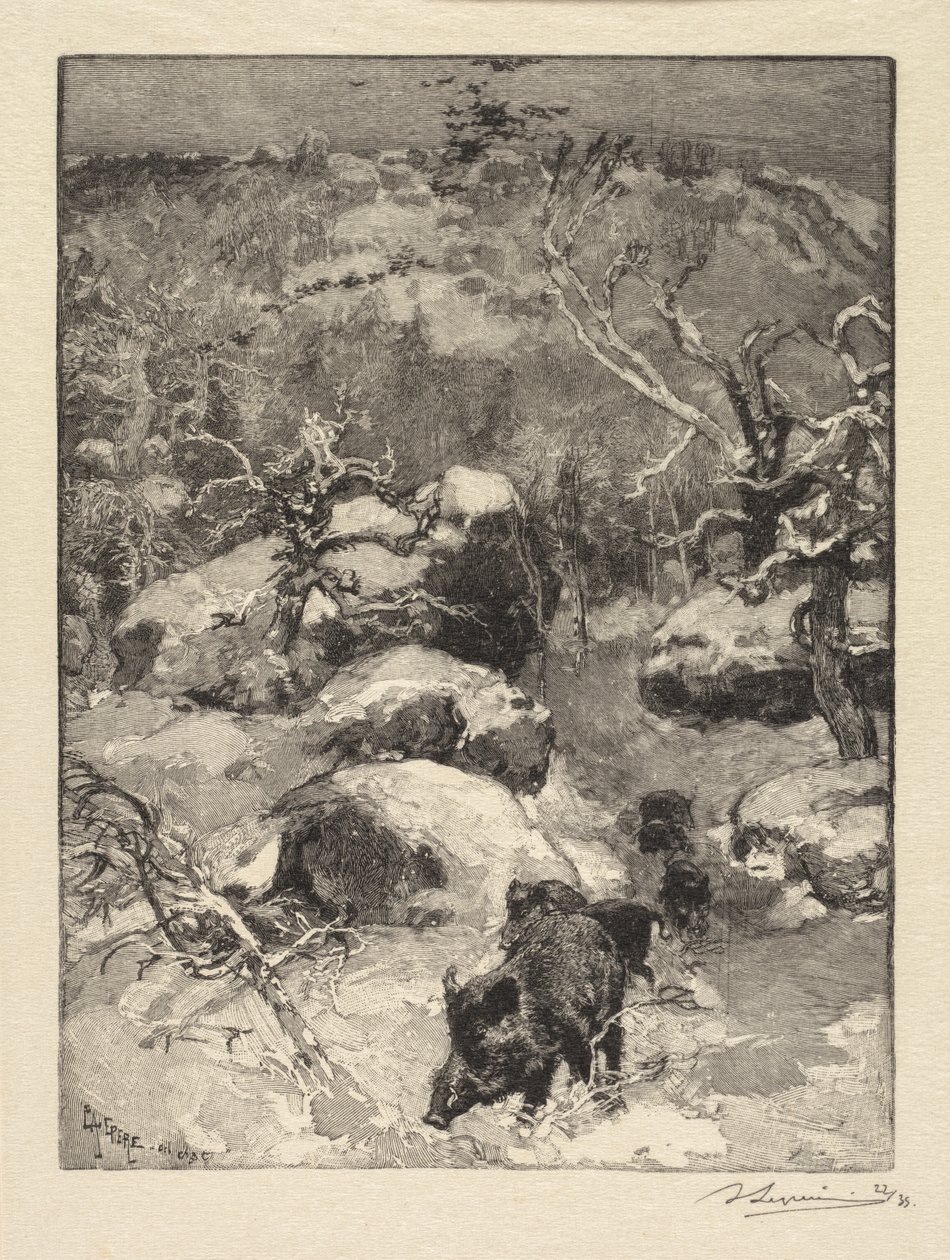 Fontainebleau-i erdő: Cuvier-Châtillon szikla alkotó: Auguste Louis Lepère