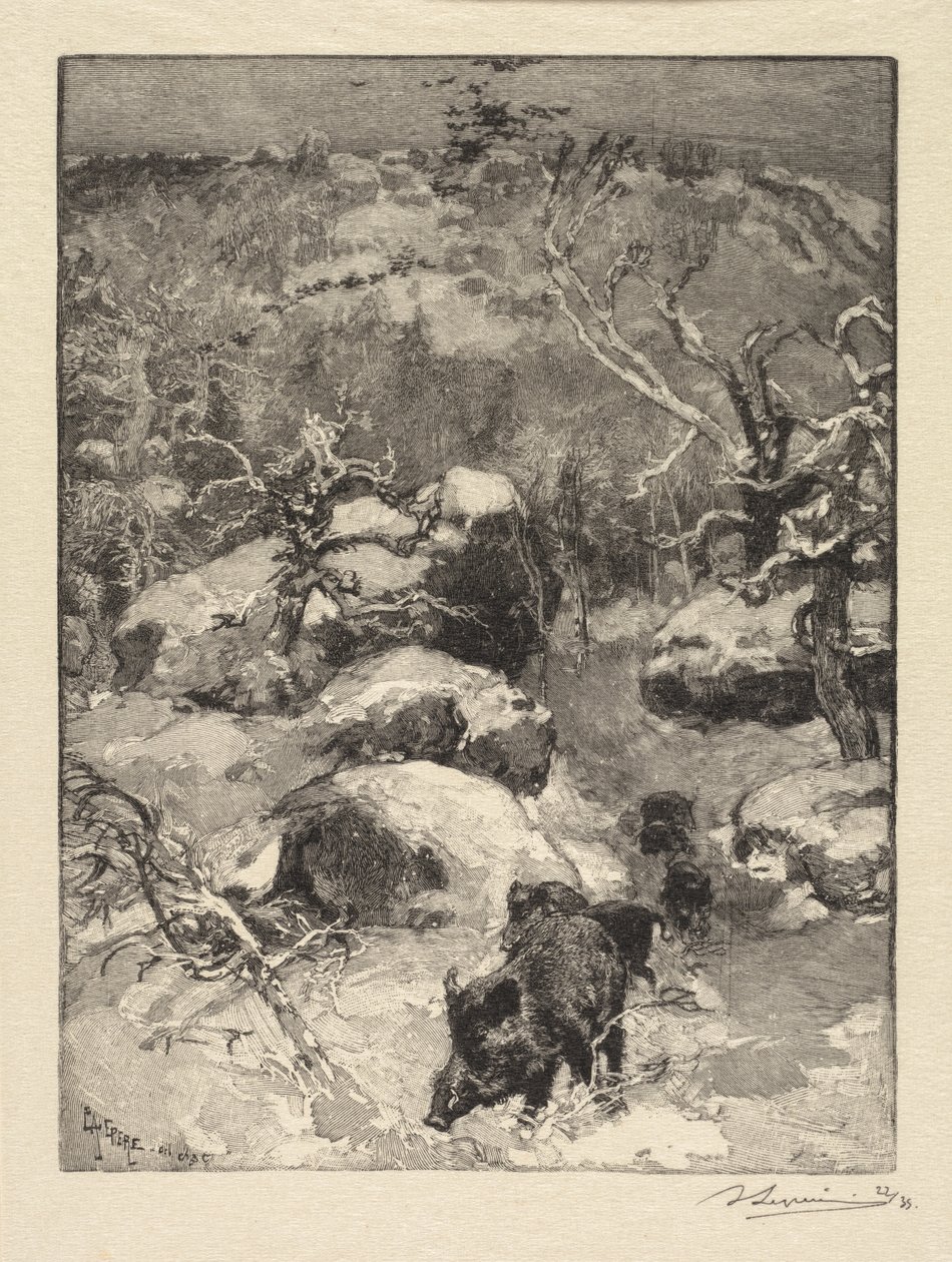 Fontainebleau-i erdő: Cuvier-Châtillon szikla Fontainebleau-i erdő: Roche Cuvier-Châtillon, 18 alkotó: Auguste Louis Lepère