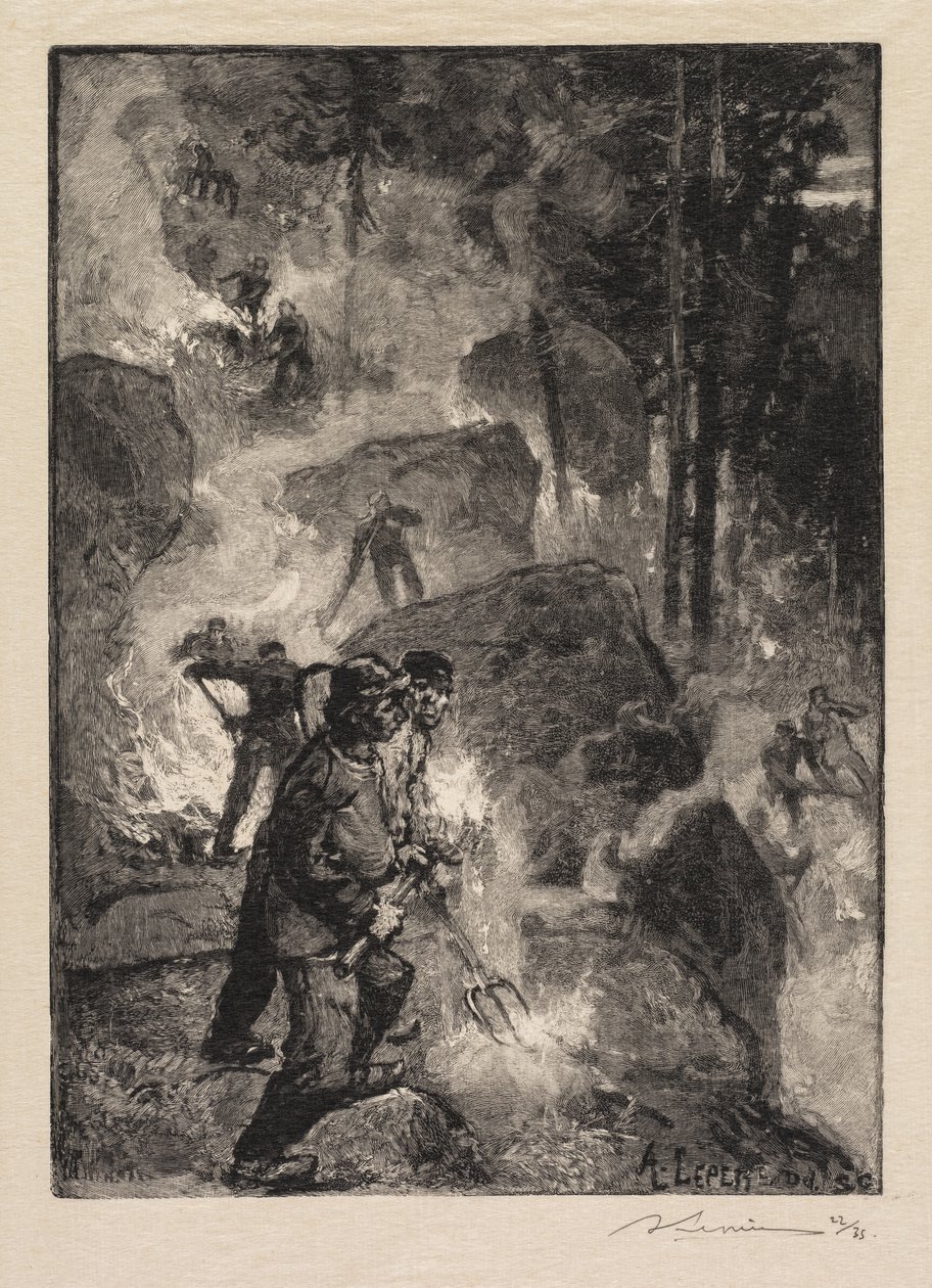 Fontainebleau-erdő: Páfrányégetők A Fontainebleau-i erdő: Páfrányégetők, 1890. alkotó: Auguste Louis Lepère