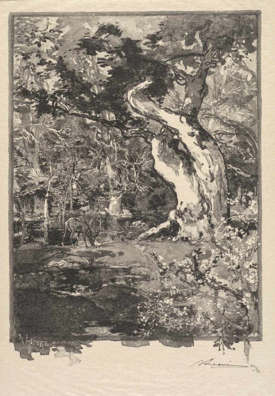 Fontainebleau-i erdő: Le Clovis, Plateau de Bellecroix A fontainebleau-i erdő..., 1890. alkotó: Auguste Louis Lepère