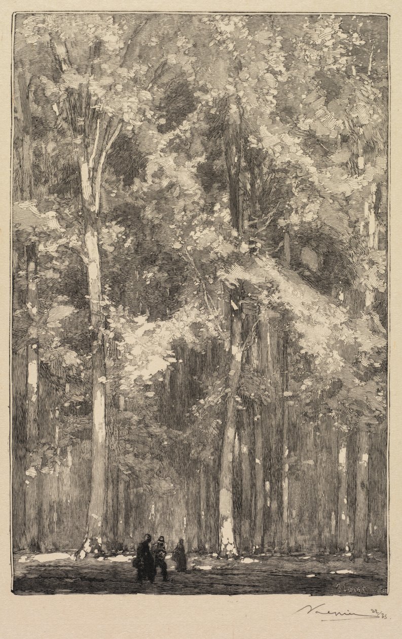Fontainebleau-erdő: Reggel, a Forts de Marlotte út kereszteződése (La Forêt de Fontainebleau: Le Matin, Carrefour des Fort de Marlotte) alkotó: Auguste Louis Lepère