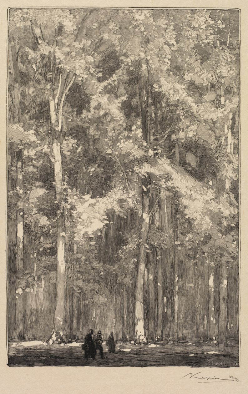 Fontainebleau-erdő: Reggel, a Marlotte-erődök útvonalának kereszteződése..., 1890. alkotó: Auguste Louis Lepère