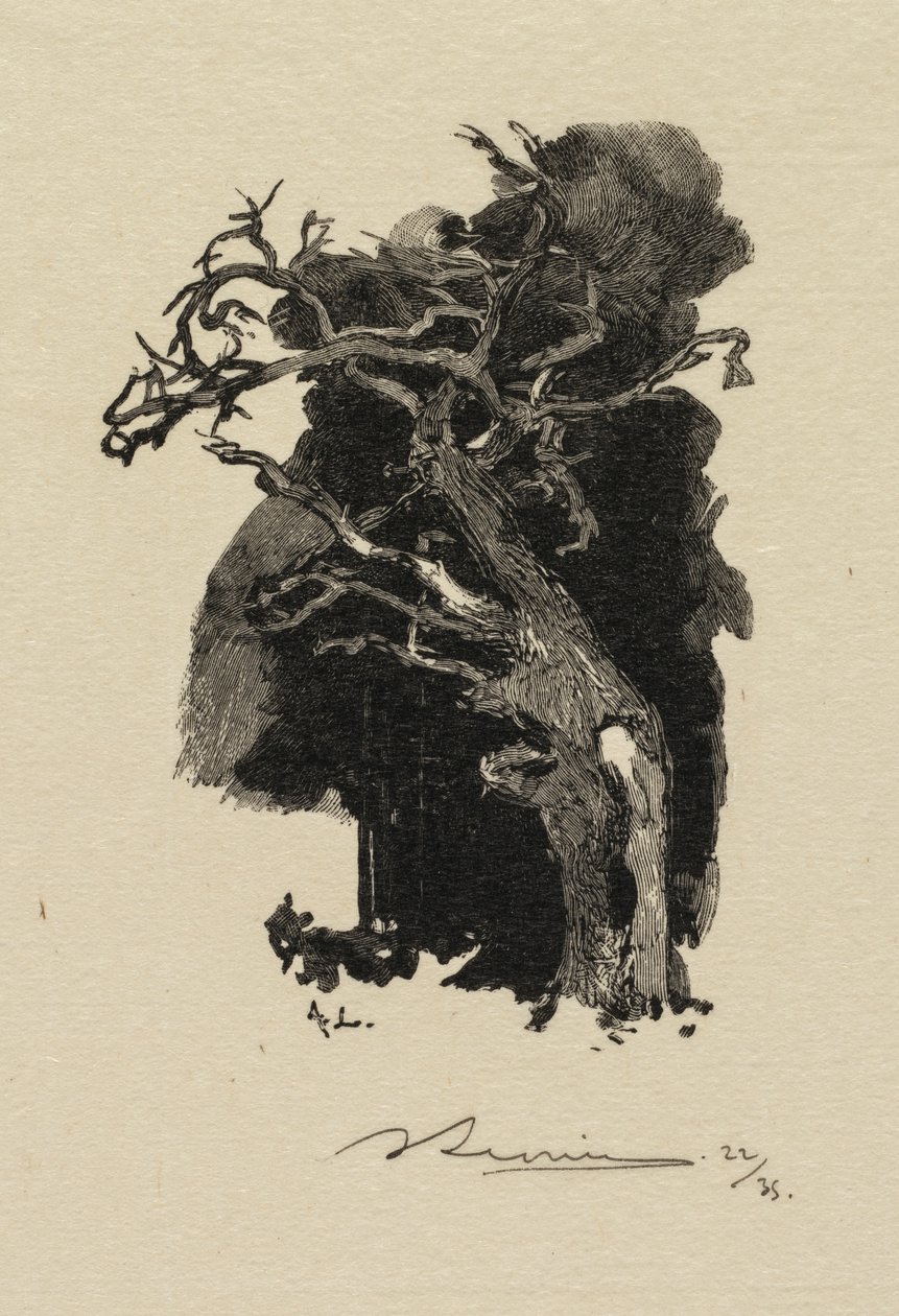 Fontainebleau-erdő: A dühöngő erdő Fontainebleau-i erdő: A dühöngő, 1890. alkotó: Auguste Louis Lepère