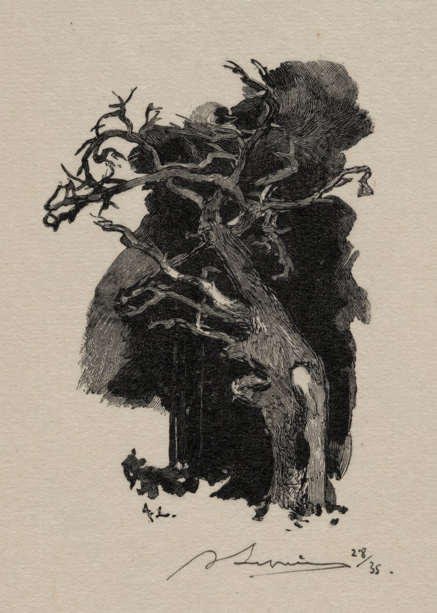 A dühöngő alkotó: Auguste Louis Lepère