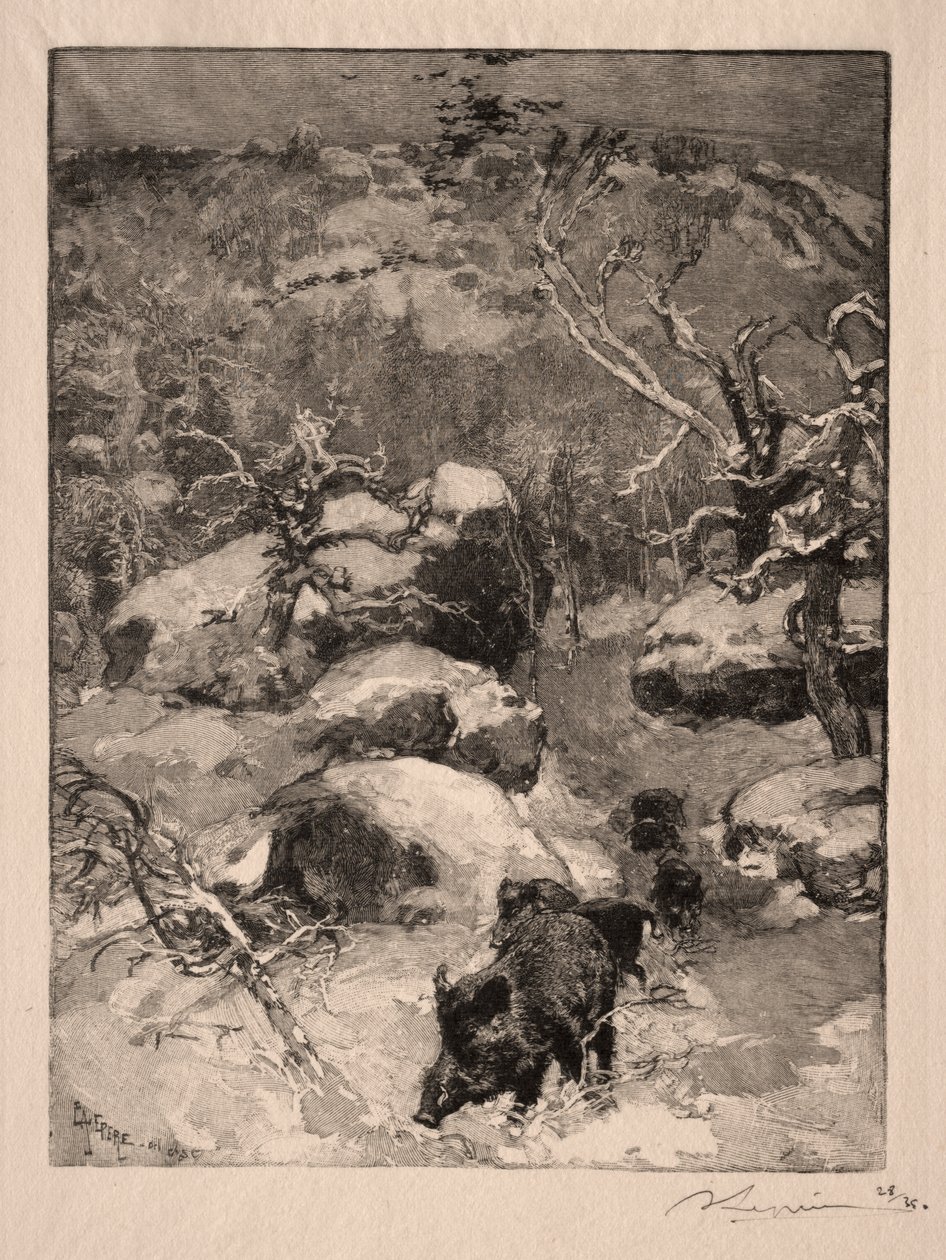 Roche Cuvier Chatillon alkotó: Auguste Louis Lepère