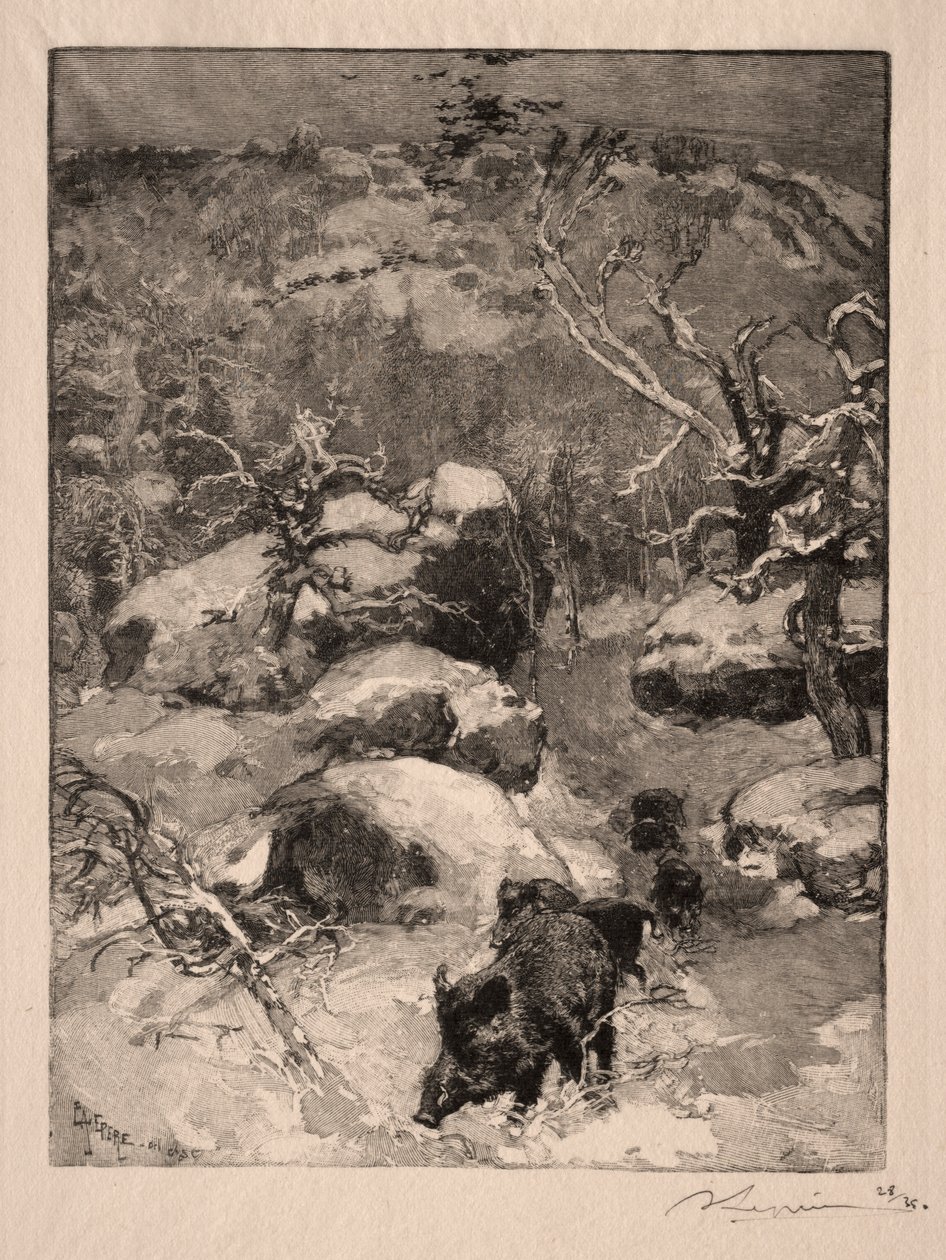 Roche Cuvier Chatillon, 1887. alkotó: Auguste Louis Lepère
