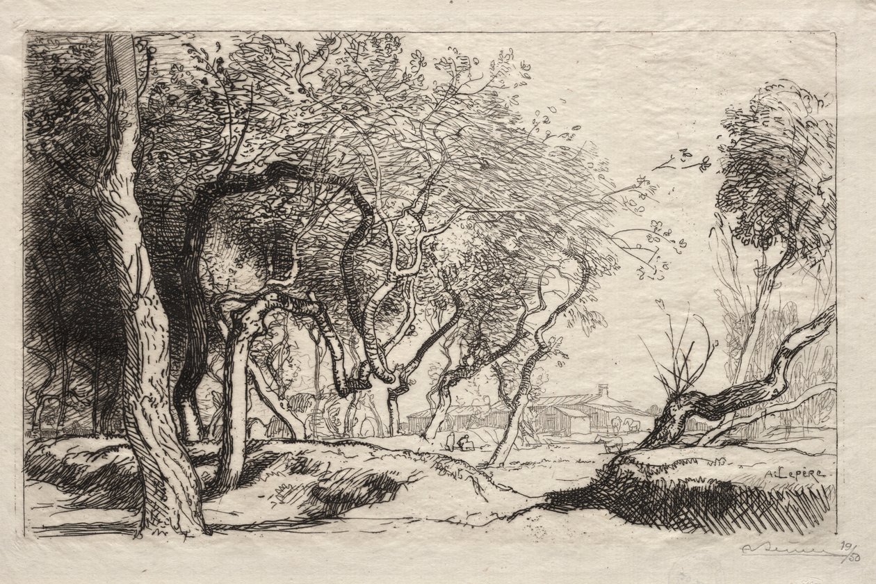 A csavart fa, 1915. alkotó: Auguste Louis Lepère