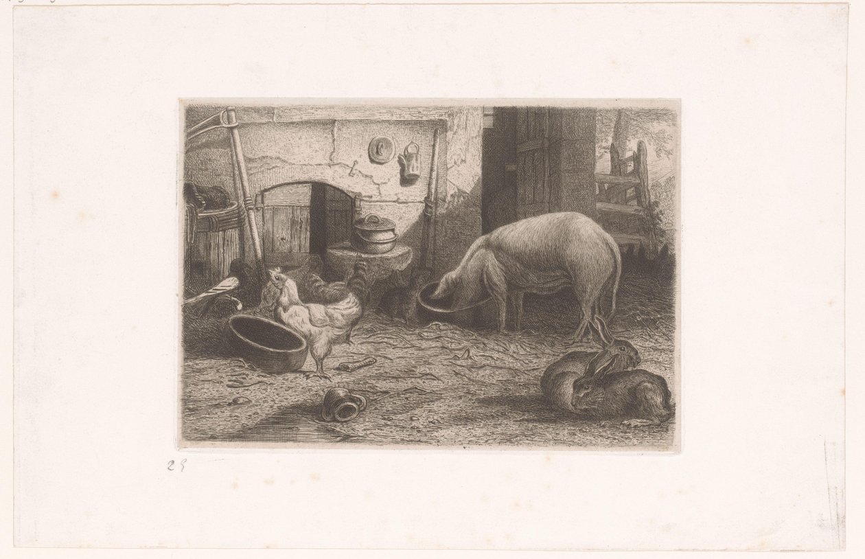Sertés, csirkék és nyulak egy istállóban alkotó: Auguste Numans (attributed to)