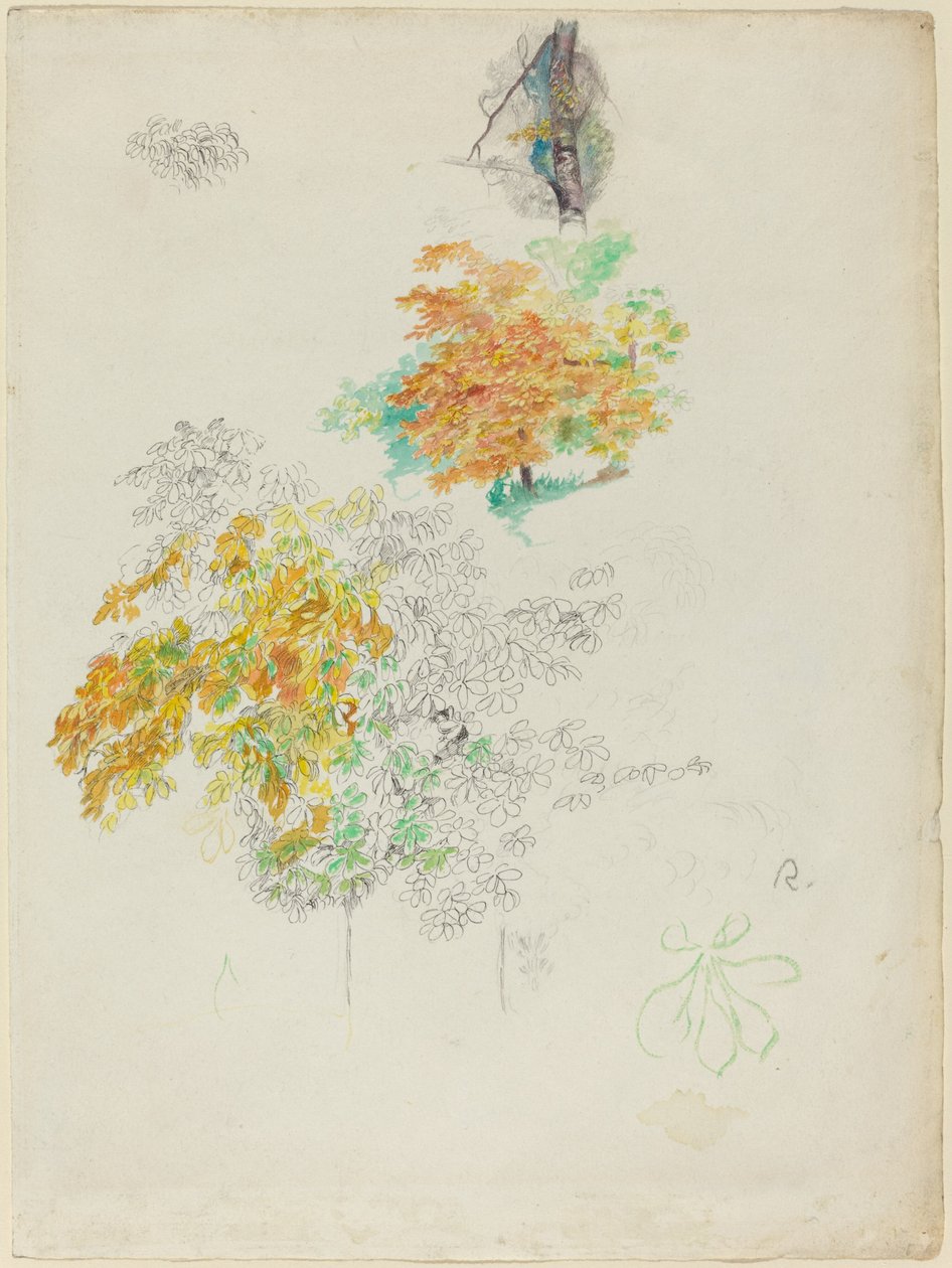 Tanulmányok a fákról alkotó: Auguste Renoir