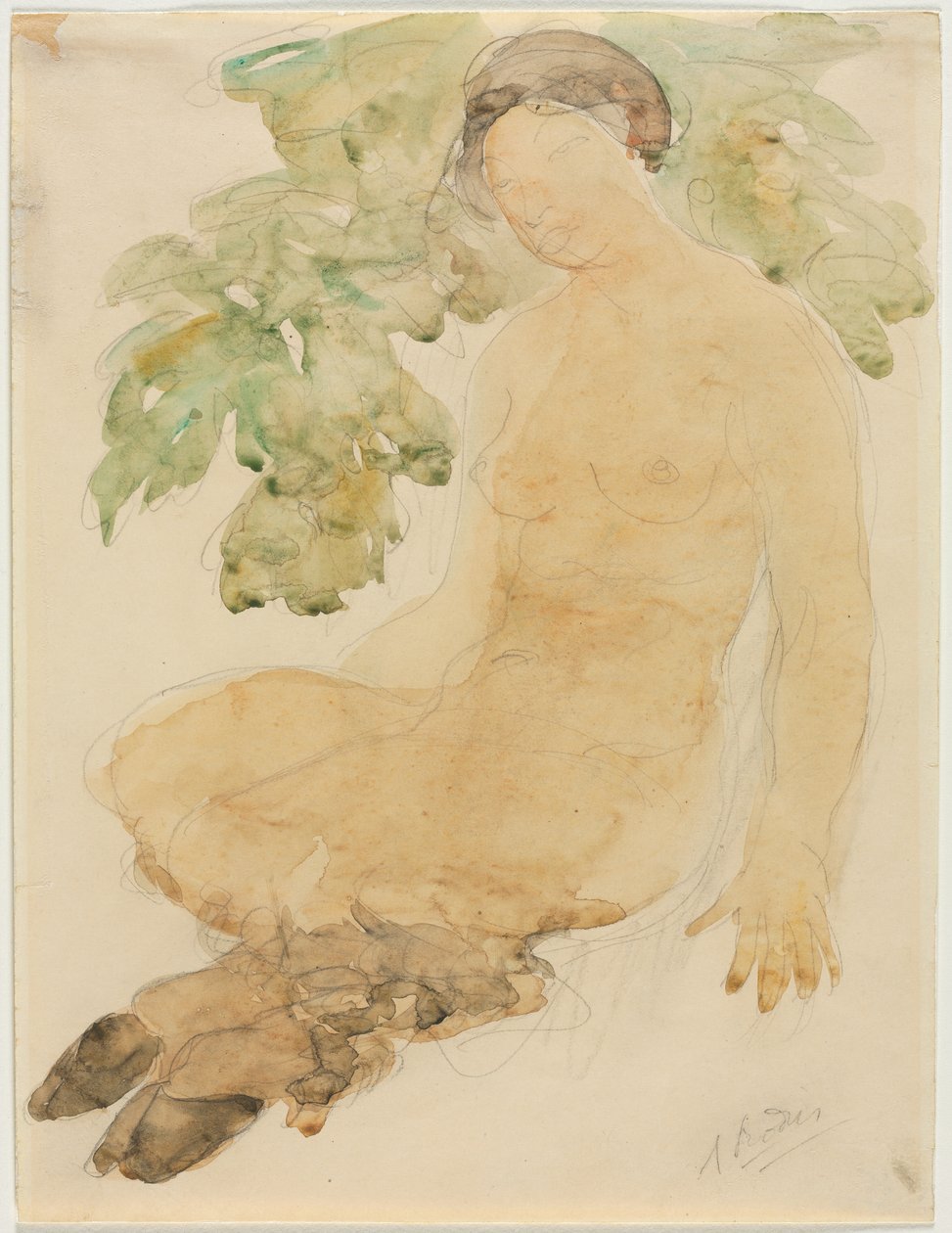 Faunesse, 1905 körül (grafitra festett akvarell) alkotó: Auguste Rodin