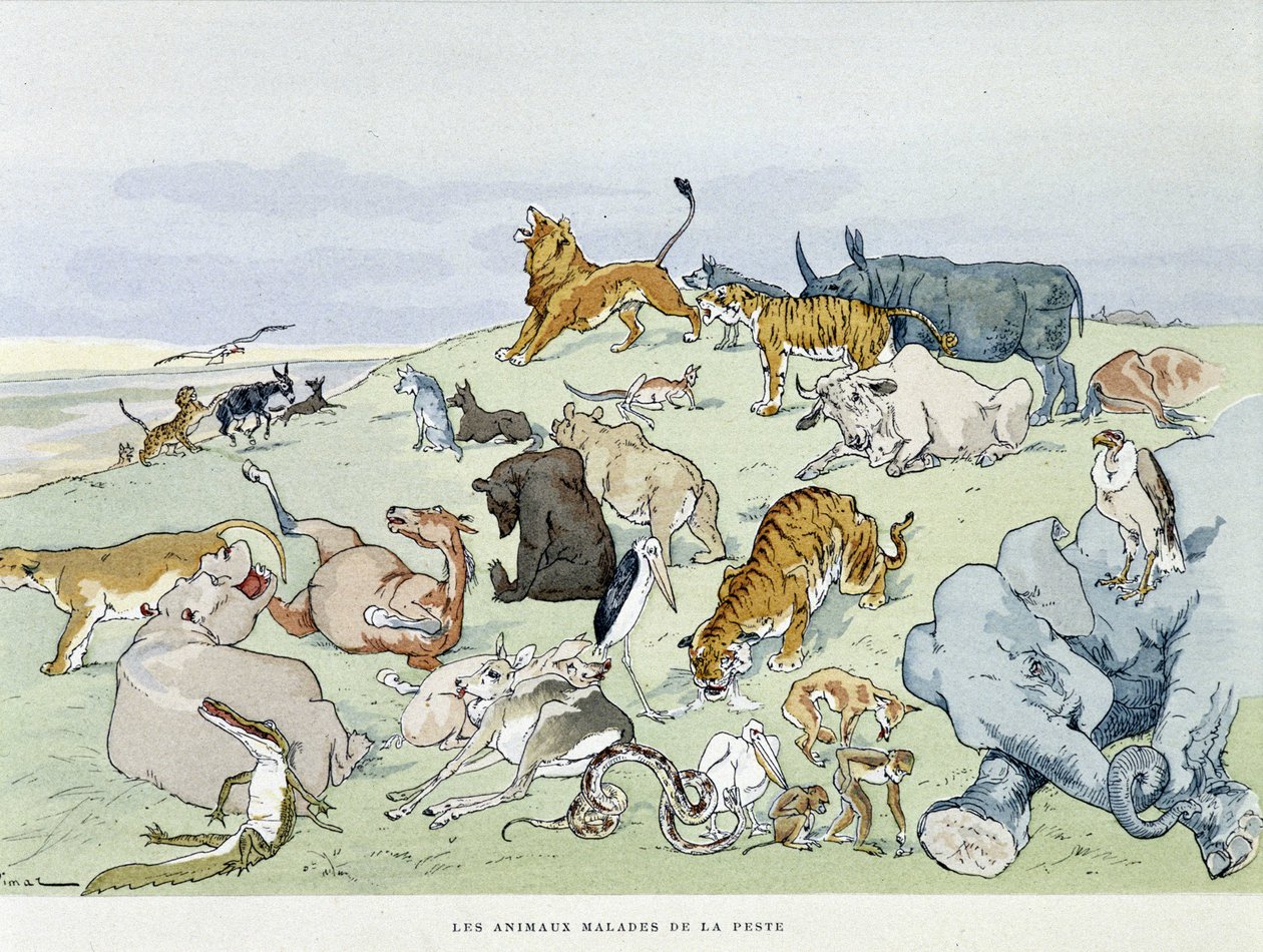 Pestisben szenvedő állatok „” Les Fables de la Fontaine”, ill. Írta: Auguste Vimar (1851-1916), Tours, A, Mame & Son alkotó: Auguste Vimar