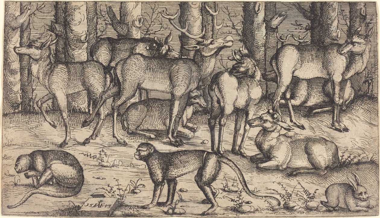 Szarvasok az erdőben, 1545. alkotó: Augustin Hirschvogel