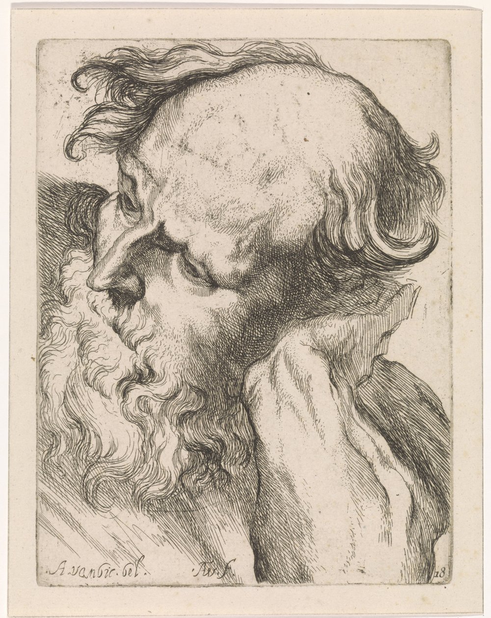 Egy öregember feje (József) Tanulmányok egy rajzkönyvhöz Anthony van Dyck klasszikus szobrai és figurái után (sorozat címe) alkotó: Augustinus Terwesten (I)