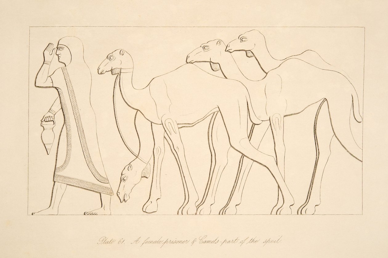 Egy női fogoly és teve, illusztráció a Ninivei emlékművekből, 1849 alkotó: Austen Henry Layard