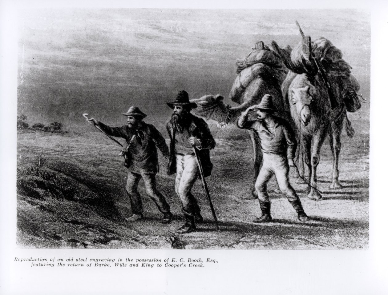 Burke, Wills és King visszatérése Cooper