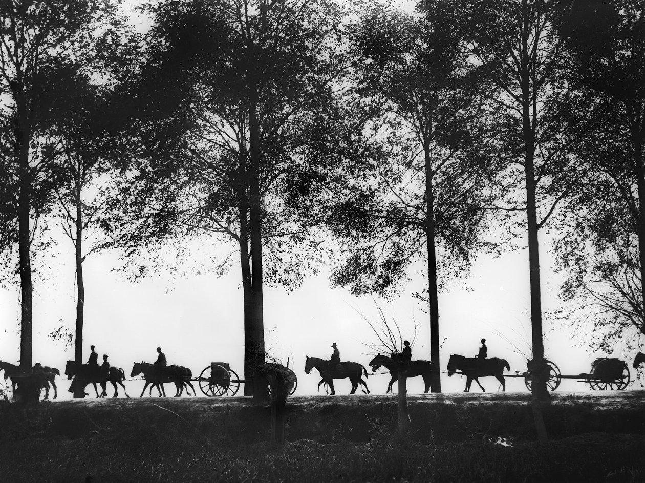 Lőszerrel megrakott ausztrál tüzérségi fegyveresek sziluettje az Ypres úton haladva, 1917. szeptember 25. alkotó: Australian Photographer