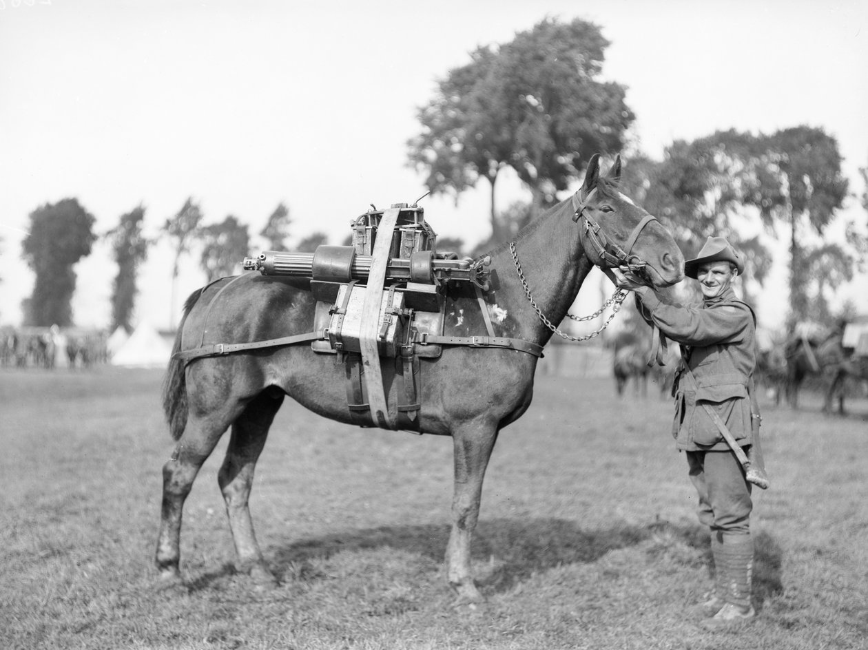 Egy ausztrál katona, 244 Driver F W Stephenson, 2. Australian Machine Gun Zászlóalj, egy teherhordó lóval, megrakott géppuskával a Morbecque-i Ausztrál Pack Kiképző Iskolában, 1917. augusztus 29. alkotó: Australian Photographer