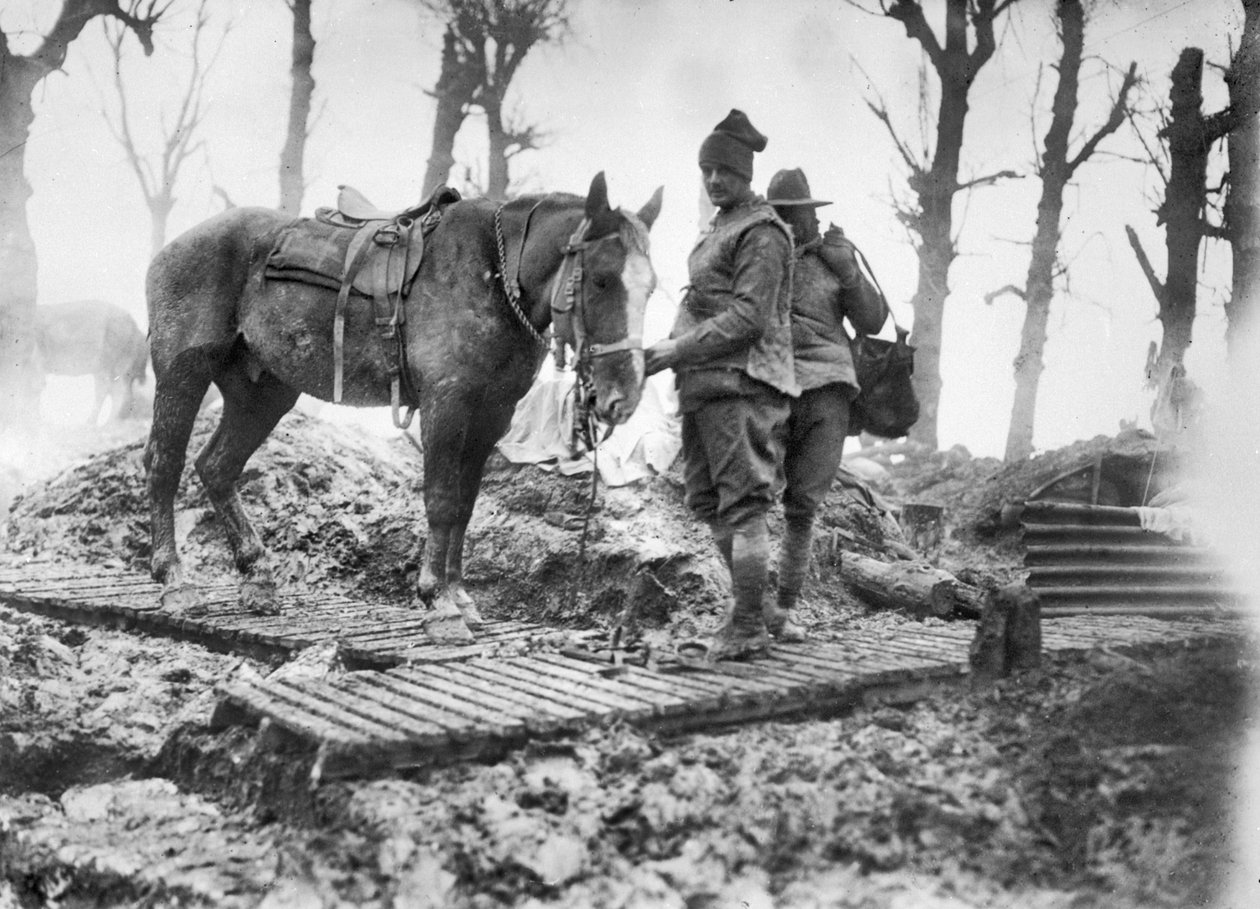 Egy tüzérségi ló, amellyel lőszert szállítottak a fegyverekhez, és azonosítatlan ausztrál sofőrje a Mametz és Montauban közötti kacskaringós pályán, 1916 decemberében alkotó: Australian Photographer