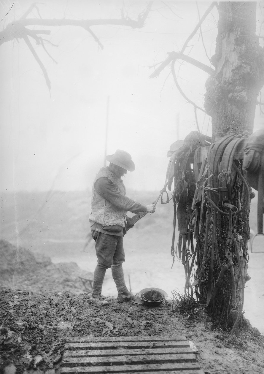 Azonosítatlan ausztrál tüzérségi sofőr, aki sarat takarít meg csapataiból egy tuskóban Mametz közelében, 1916 decemberében alkotó: Australian Photographer