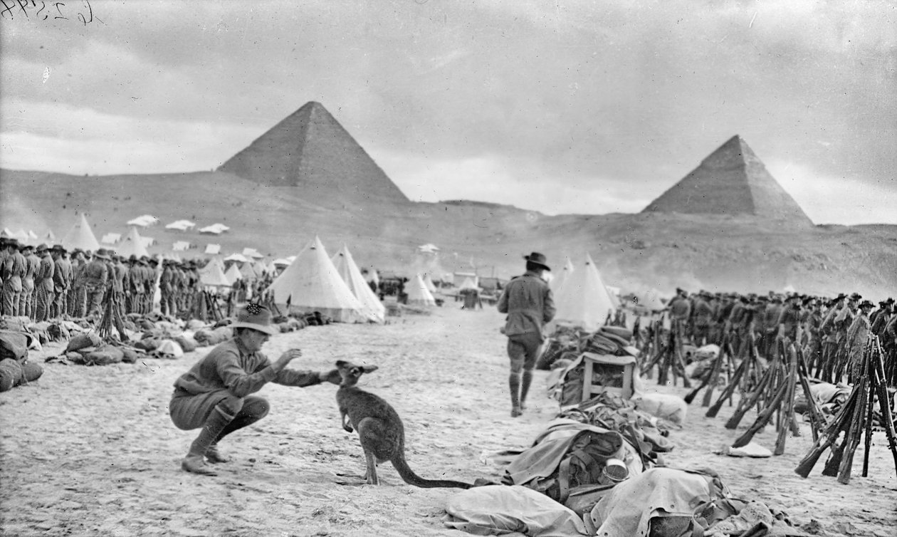 Az ausztrál 9. és 10. zászlóalj vonalai a menai táborban, a piramisok felé nézve, 1914. december alkotó: Australian Photographer
