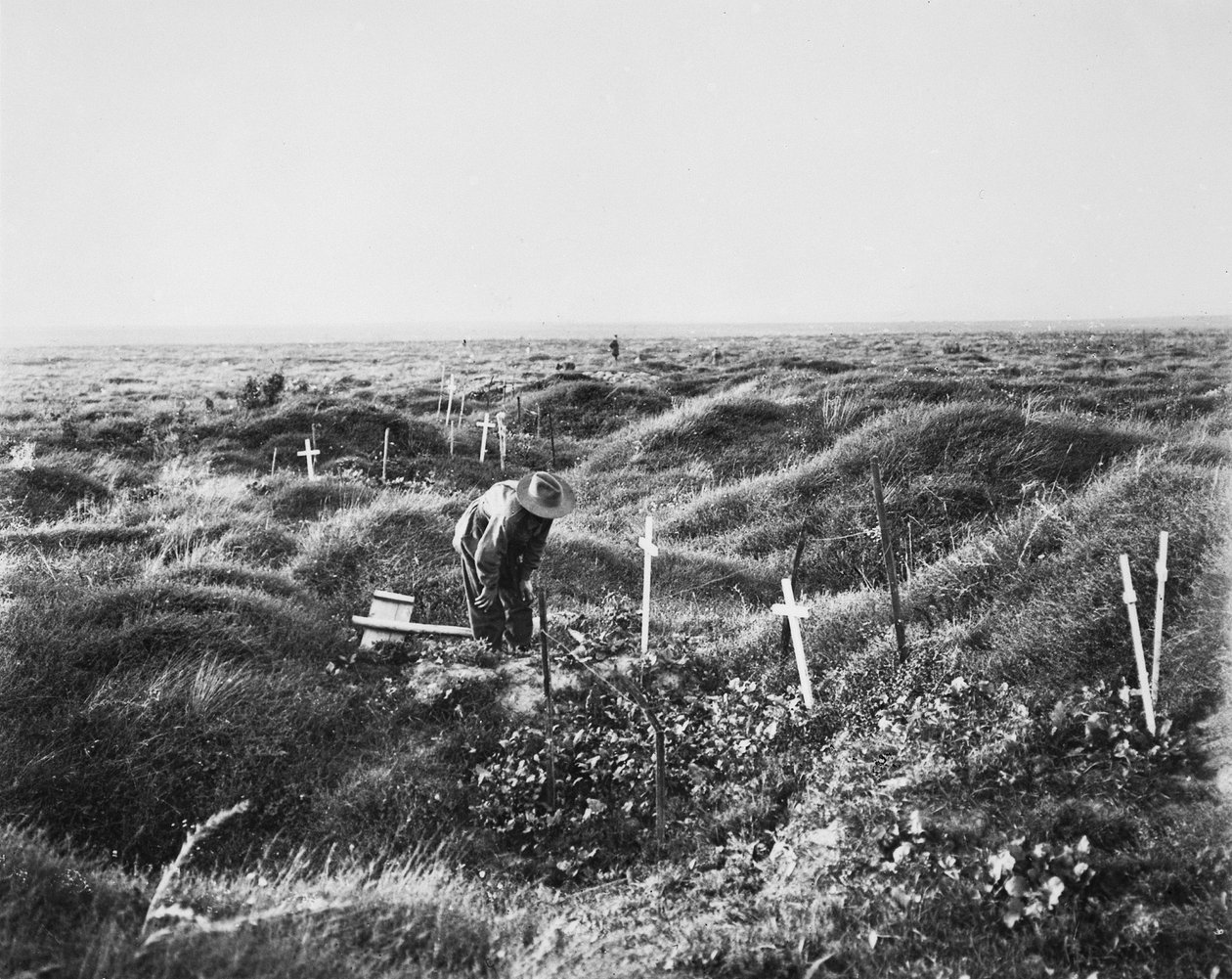 Kilátás a szétszórt ausztrál sírokról az OG1 vonal mentén a pozieresi csatatéren, 1917. szeptember 16. alkotó: Australian Photographer