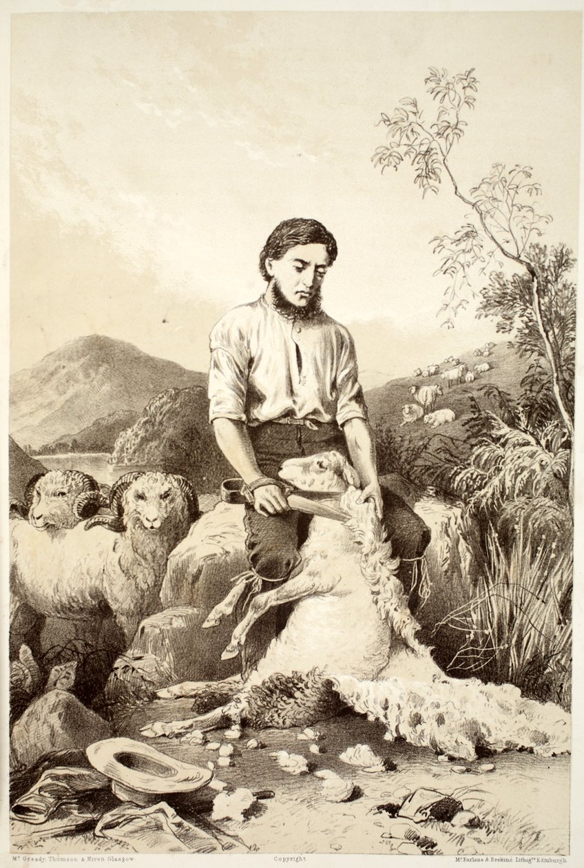 Birkanyírás, David Blair, McGrady, Thomson és Niven The History of Australasia című művéből, 1879 alkotó: Australian School
