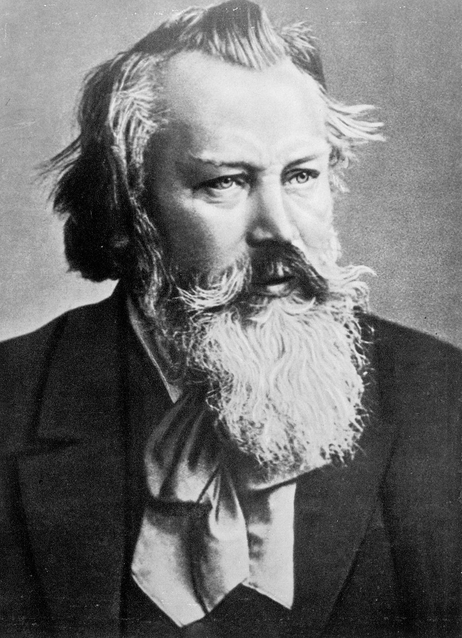 Johannes Brahms, 1879 alkotó: Austrian Photographer