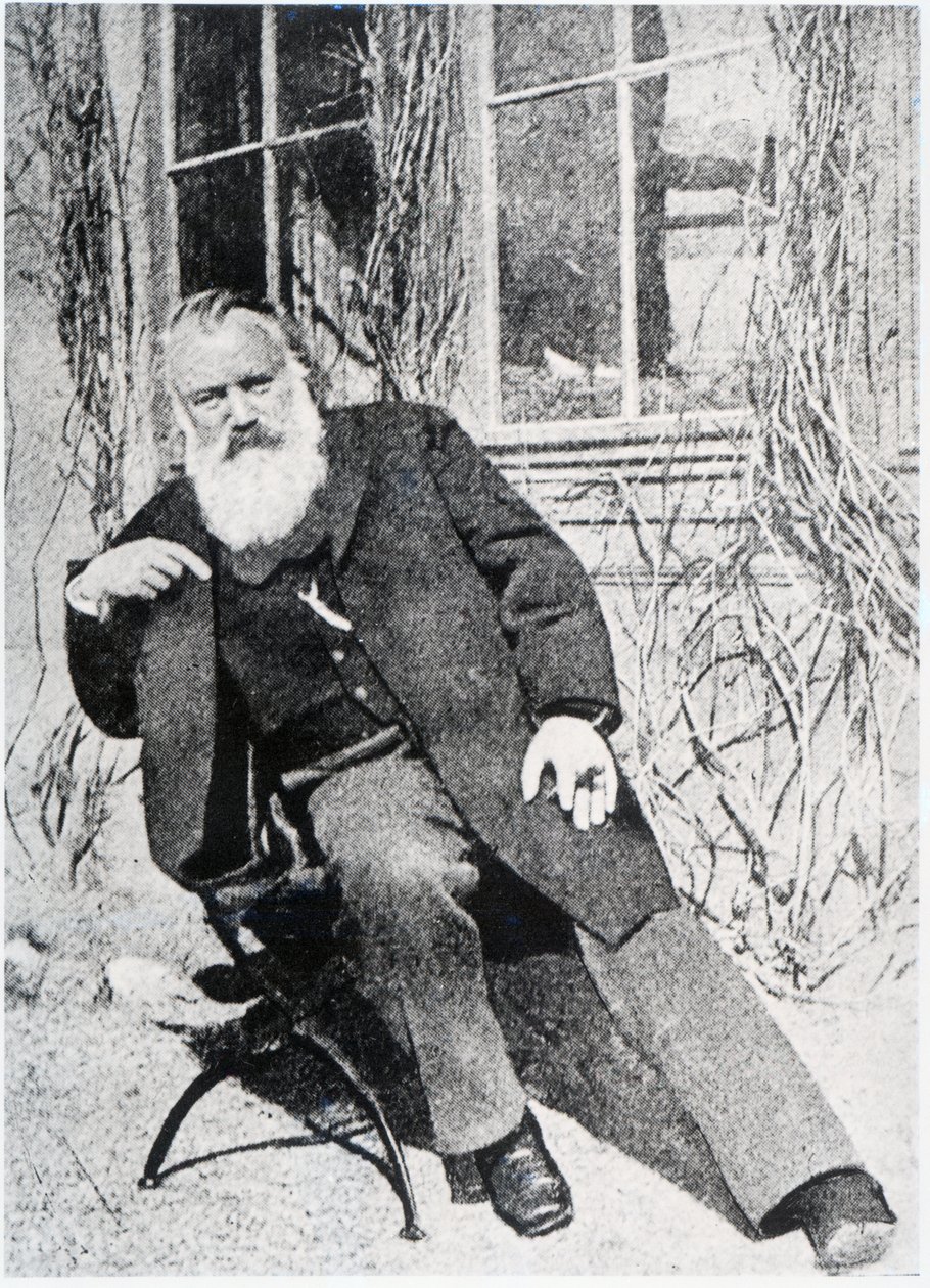 Johannes Brahms, 1897 körül alkotó: Austrian Photographer
