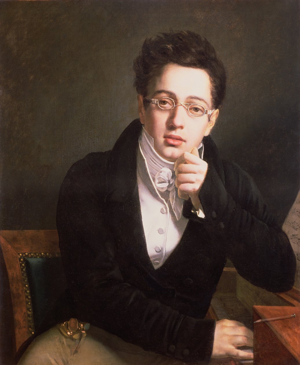 Franz Schubert (1797-1828) osztrák zeneszerző portréja, 17 éves, 1814 körül alkotó: Austrian School