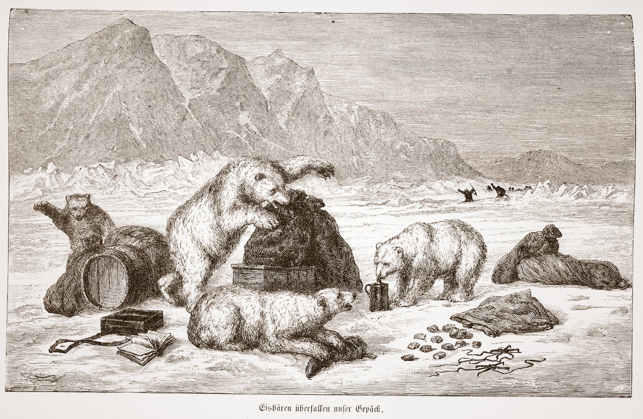 Jegesmedvék támadják meg poggyászkocsmánkat. Bécs 1876 (metszet) alkotó: Austrian School