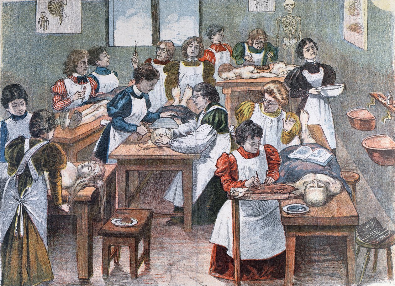 Női hallgatók egy New York-i Anatómiai Intézetben, 1897 alkotó: Austrian School