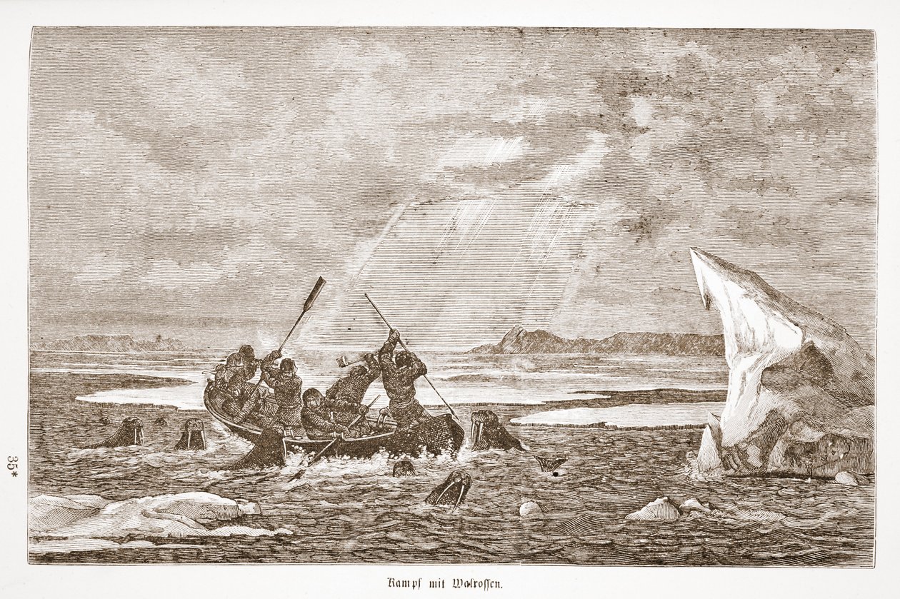 Harc rozmárral, 1876 alkotó: Austrian School