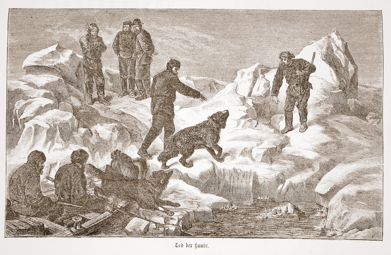 Vadászat kutyákkal, 1876 alkotó: Austrian School