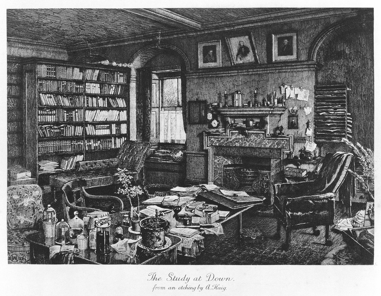 The Study at Down, kocsma. 1882 (metszet) alkotó: Axel (after) Haig