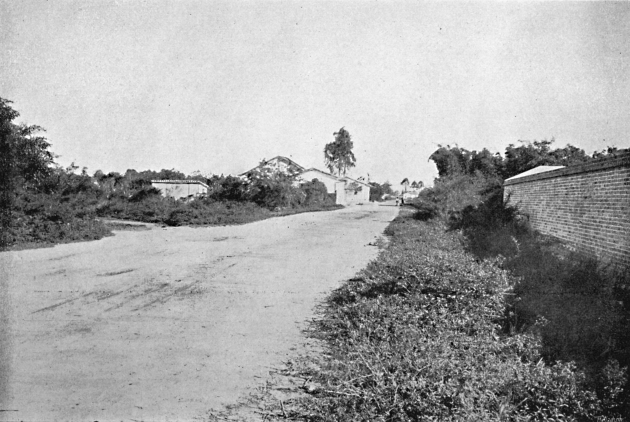 São Bernardo kolónia, São Bernardo do Campo kolónia, 1895 alkotó: Axel Frick