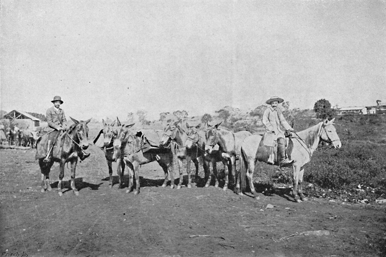 Belső kereskedők, Belső kereskedők, 1895 alkotó: Axel Frick