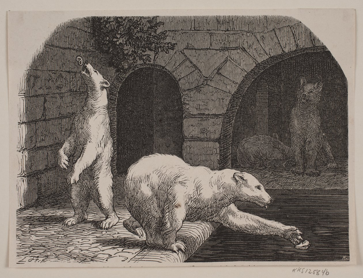 Medvék a Jardin des Plantes-ban alkotó: Axel Theodor Kittendorff