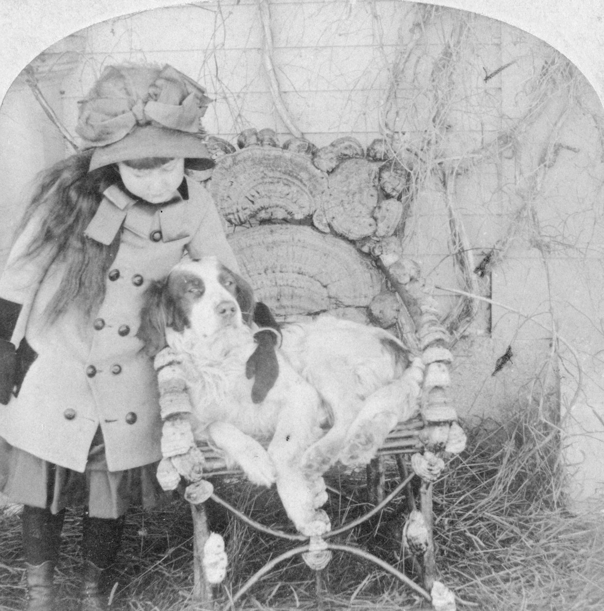 Tudsz beszélni, Jack, 1882 alkotó: B. W. Kilburn
