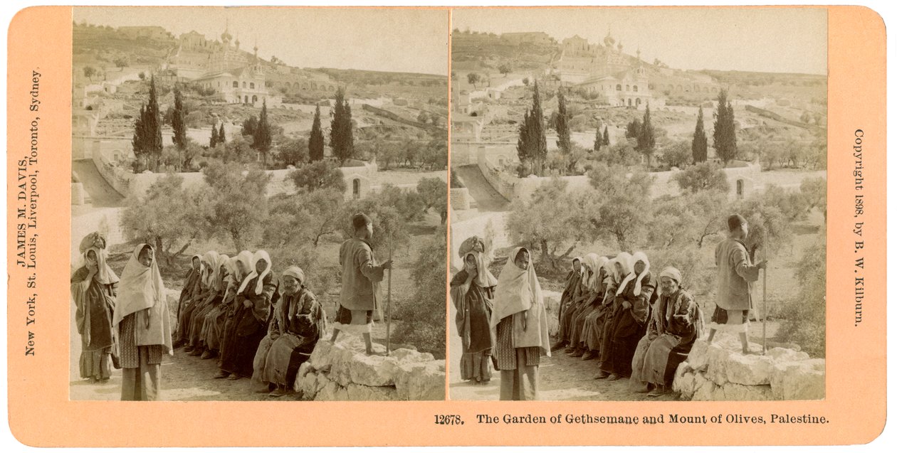 A Gecsemáné kertje és az Olajfák hegye, Palesztina, 1898. alkotó: B. W. Kilburn